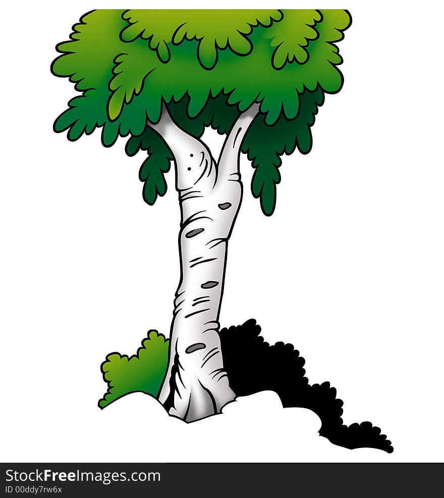 Tree 03 Birch - High detailed and coloured cartoon illustration. Tree 03 Birch - High detailed and coloured cartoon illustration