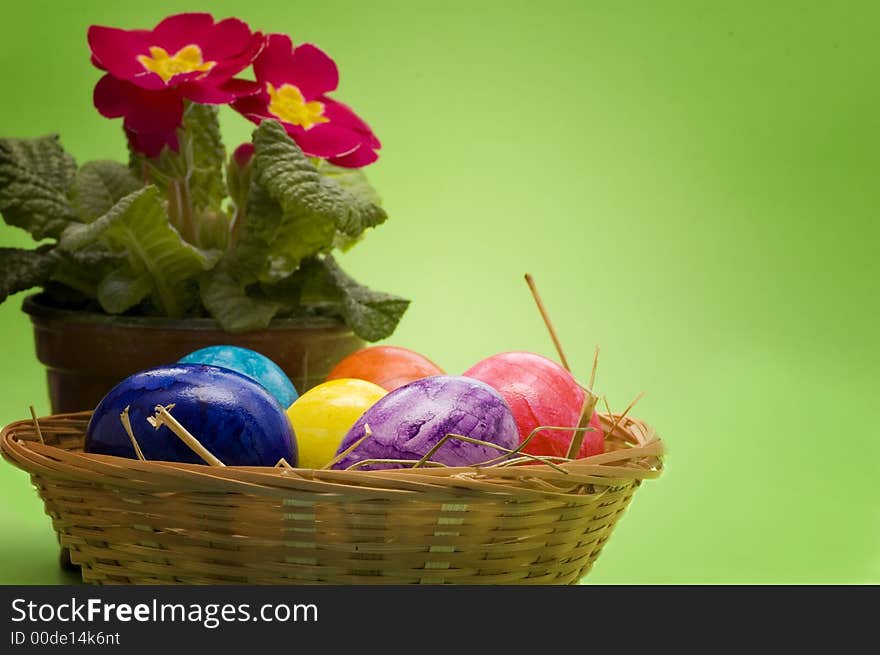 Basket with jolly colorful Easter eggs and a beautiful spring flower primrose. Basket with jolly colorful Easter eggs and a beautiful spring flower primrose