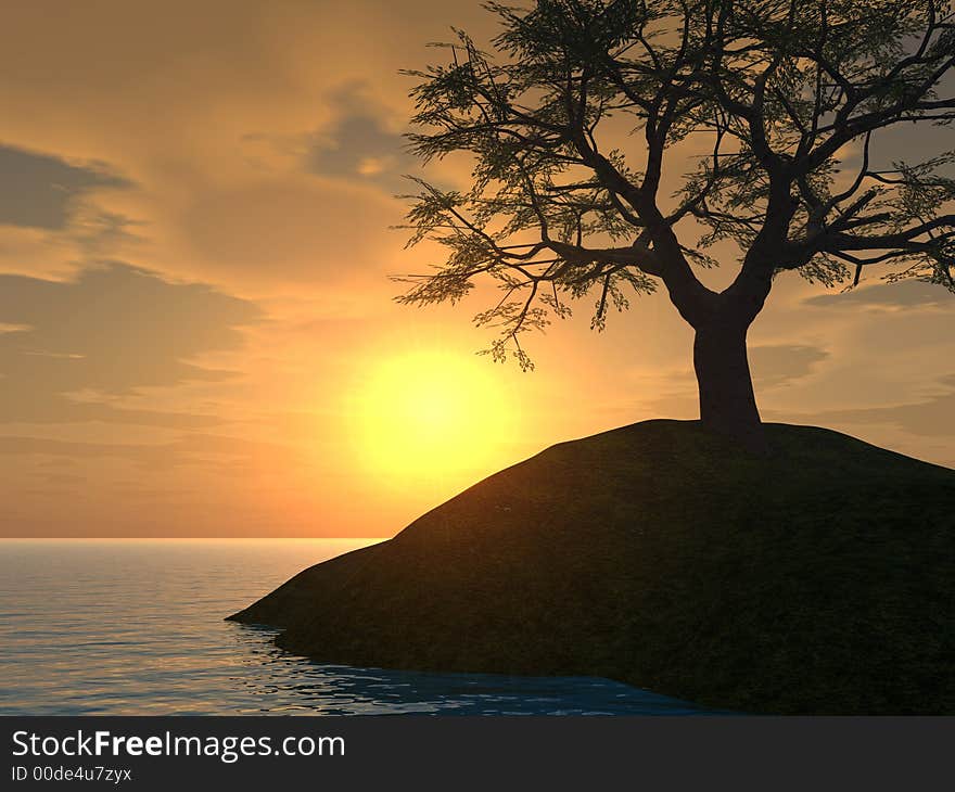 Sunset_Tree_Holm2