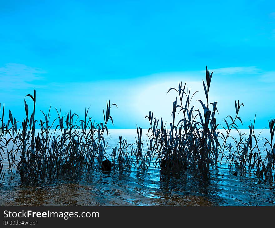 Water plants at sunset -  3D scene. Water plants at sunset -  3D scene.