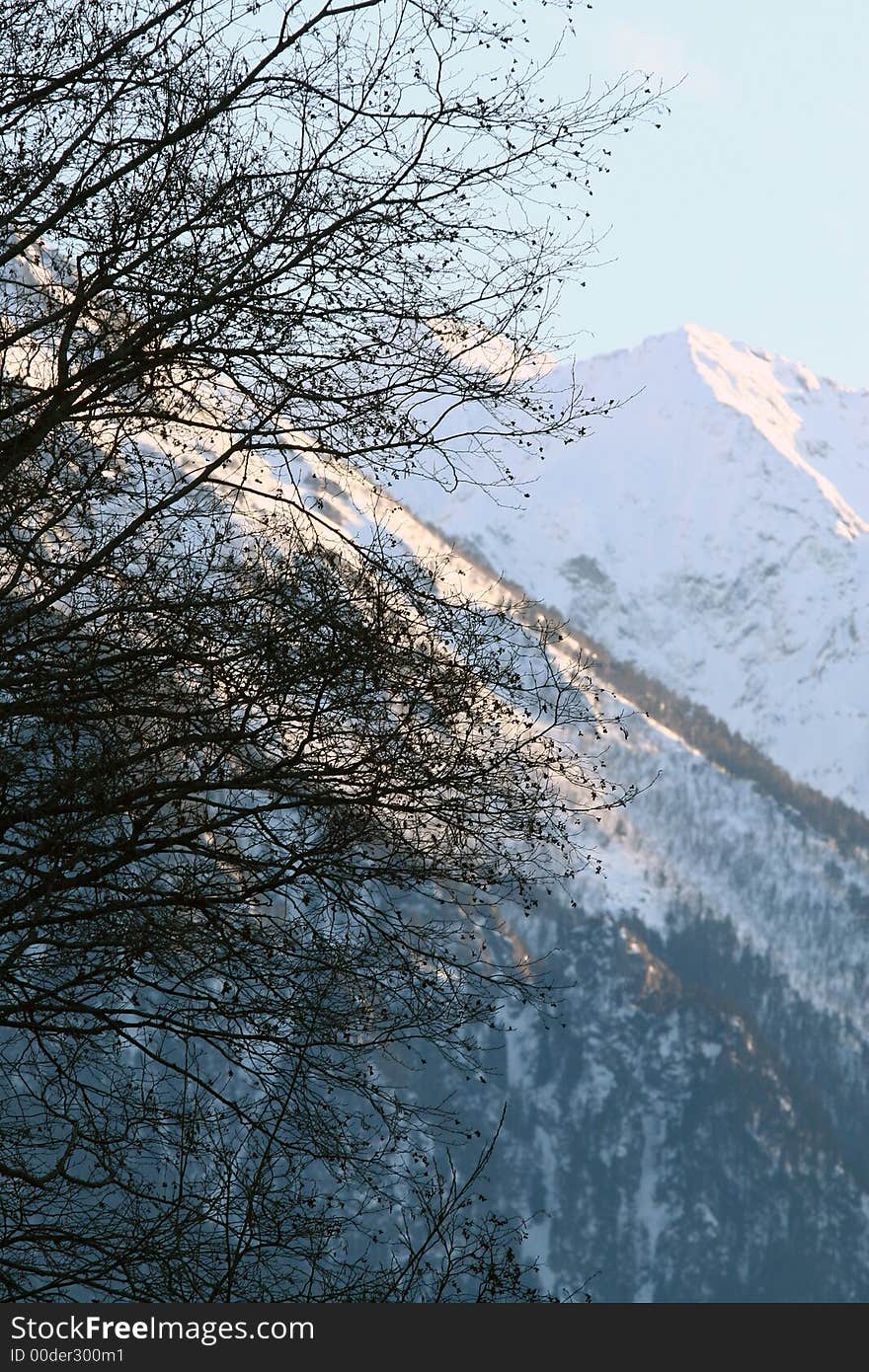 Evening sun at the mountainside