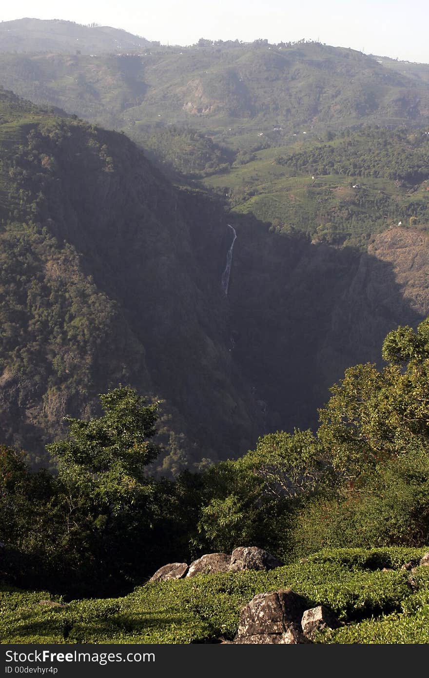 Indian Nilgiri mountain view from tea estates. Indian Nilgiri mountain view from tea estates