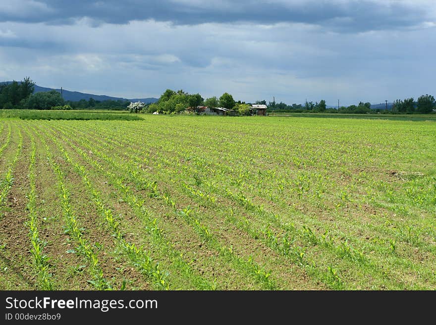 Landscape of a countryside at springtime