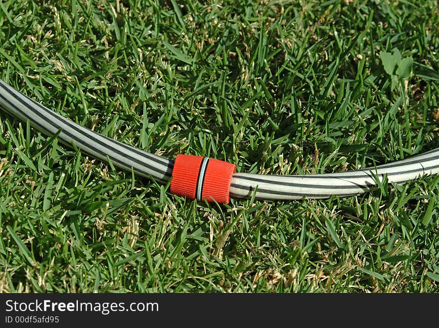 Hose of irrigation on grass in backyard