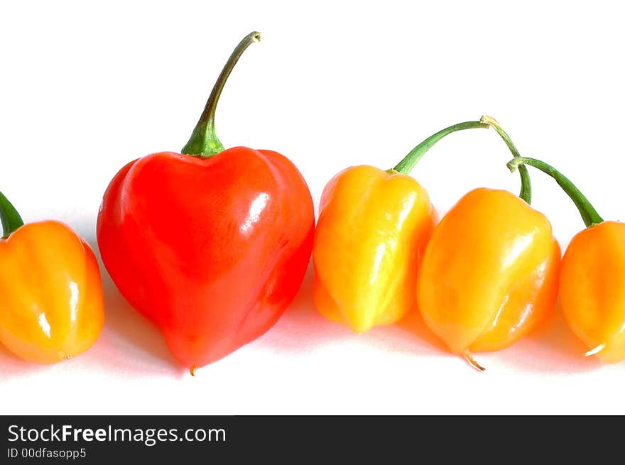 Red and yellow chilis isolated on white