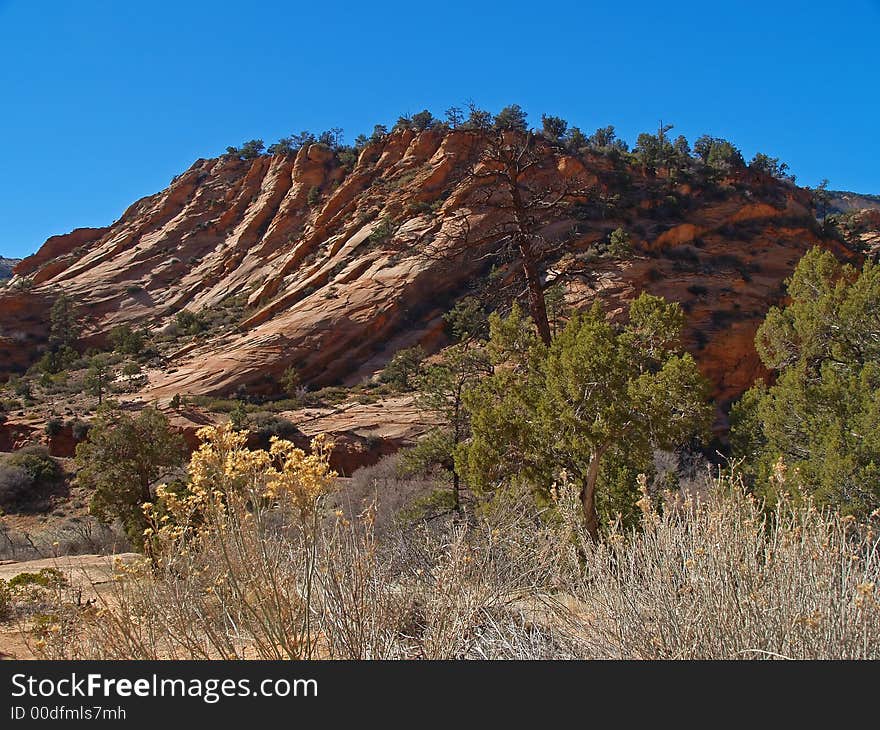 Mountains in Zion national park