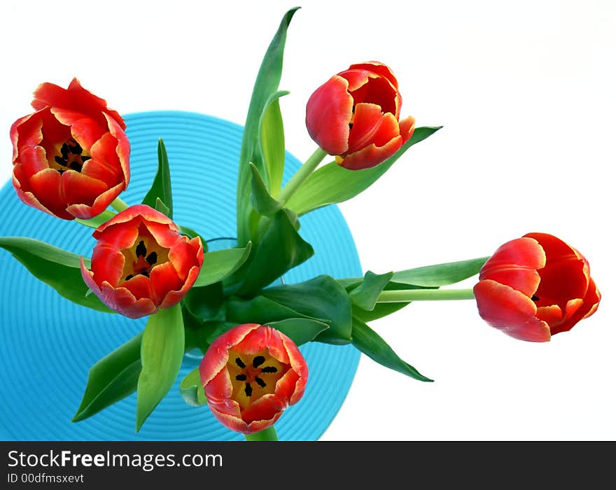 Red tulip arragement set on a blue placemat. Red tulip arragement set on a blue placemat