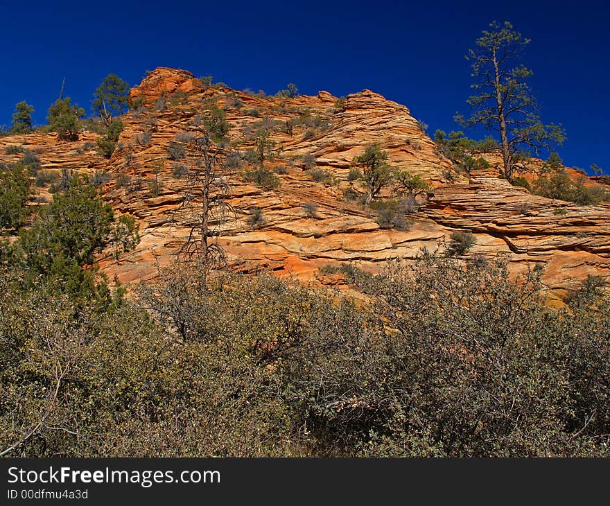 Mountains in Zion national park