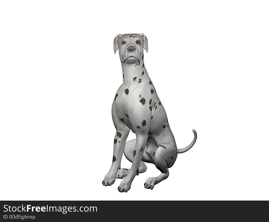 Dalmatian