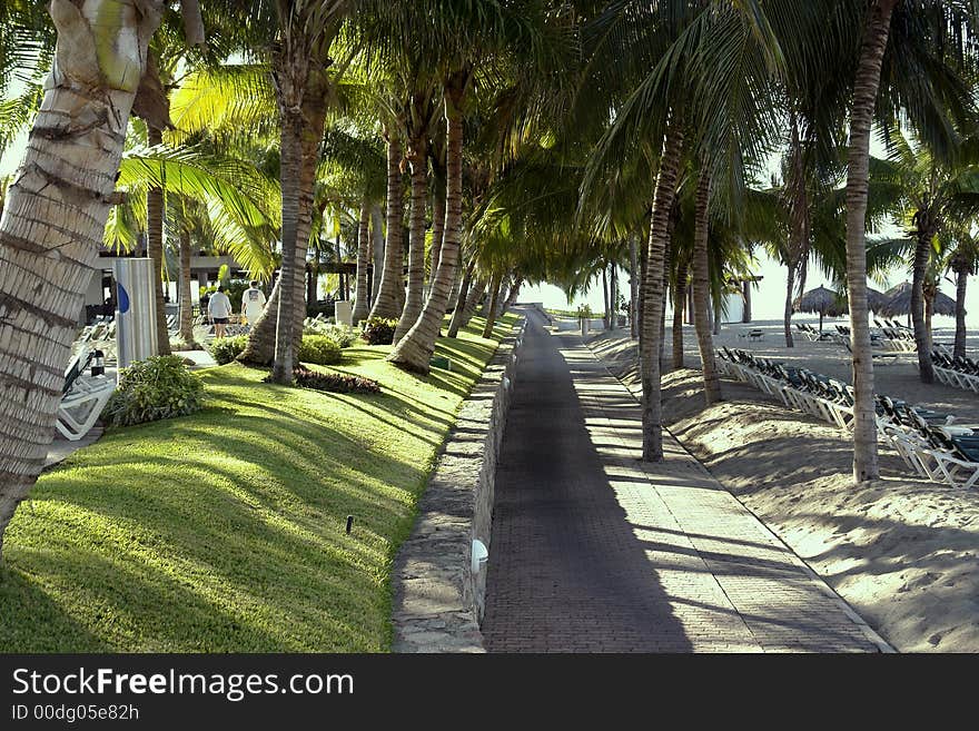 A path leading towards the ocean divides the pool area from the ocean with palm trees shading walkway,. A path leading towards the ocean divides the pool area from the ocean with palm trees shading walkway,