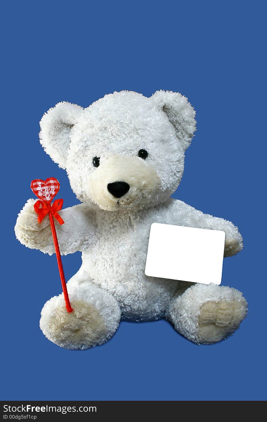 Isolated photo of teddy bear with message card