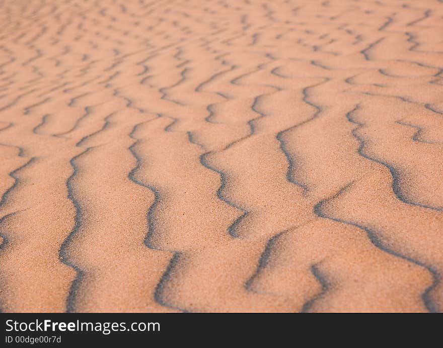 Moving dunes are a kind of sand dunes.They characterize that smaller grains, appearing in a small quantity in the sea sand are usually blown off from the top. The constant movement of grains ( which are not kept by the plants), induces the progressive movement of dunes tops according to direction of dominant winds.