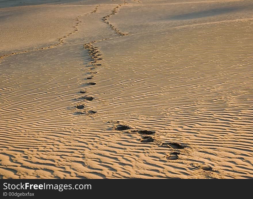 Moving dunes are a kind of sand dunes.They characterize that smaller grains, appearing in a small quantity in the sea sand are usually blown off from the top. The constant movement of grains ( which are not kept by the plants), induces the progressive movement of dunes tops according to direction of dominant winds.