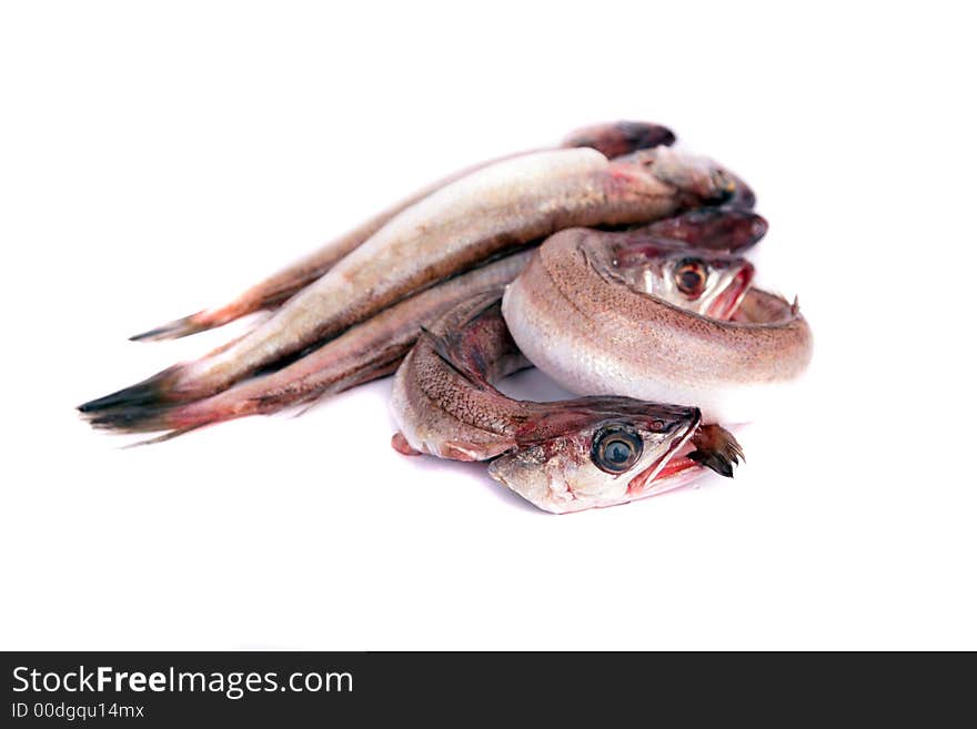 Some fresh young hakes in a white dish ready for cook