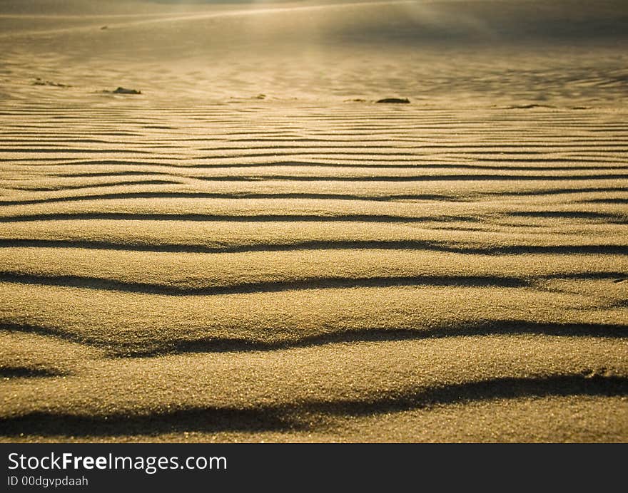 Moving dunes are a kind of sand dunes.They characterize that smaller grains, appearing in a small quantity in the sea sand are usually blown off from the top. The constant movement of grains ( which are not kept by the plants), induces the progressive movement of dunes tops according to direction of dominant winds.