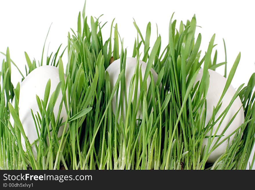 3 white eggs lays in green grass. Profile. 3 white eggs lays in green grass. Profile.