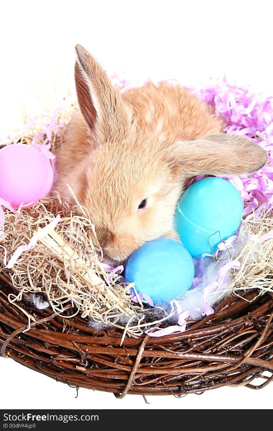 Easter rabbit and some colorful eggs in a nest. Easter rabbit and some colorful eggs in a nest