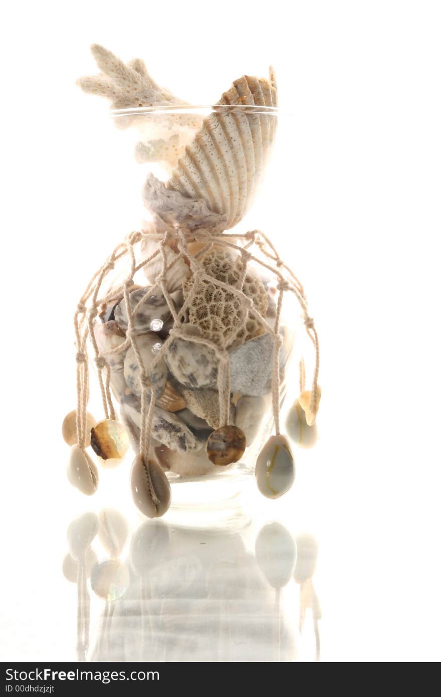 Sea cockleshells and stones in a vase with a grid