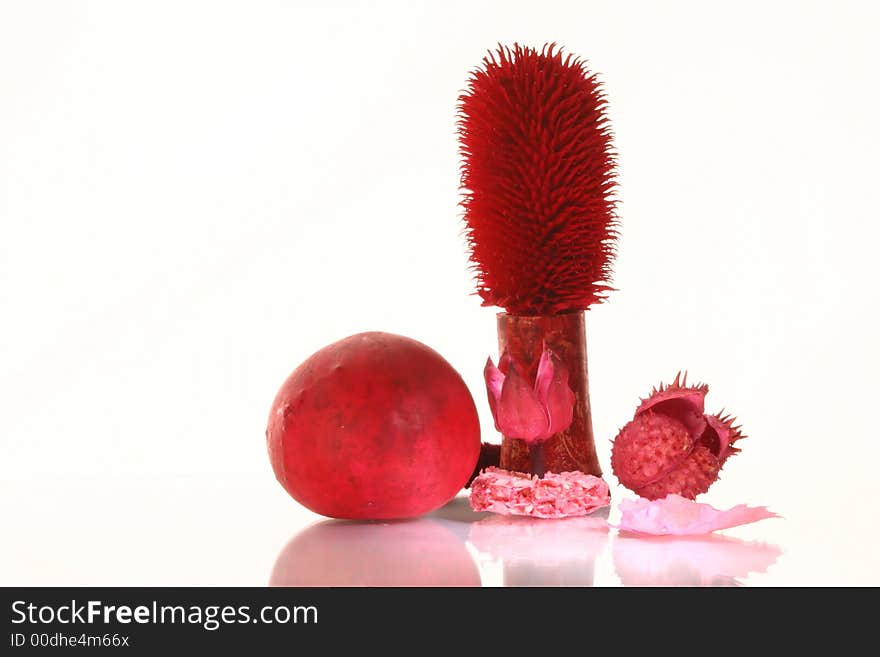 Much different dried plants and their flowers. Much different dried plants and their flowers