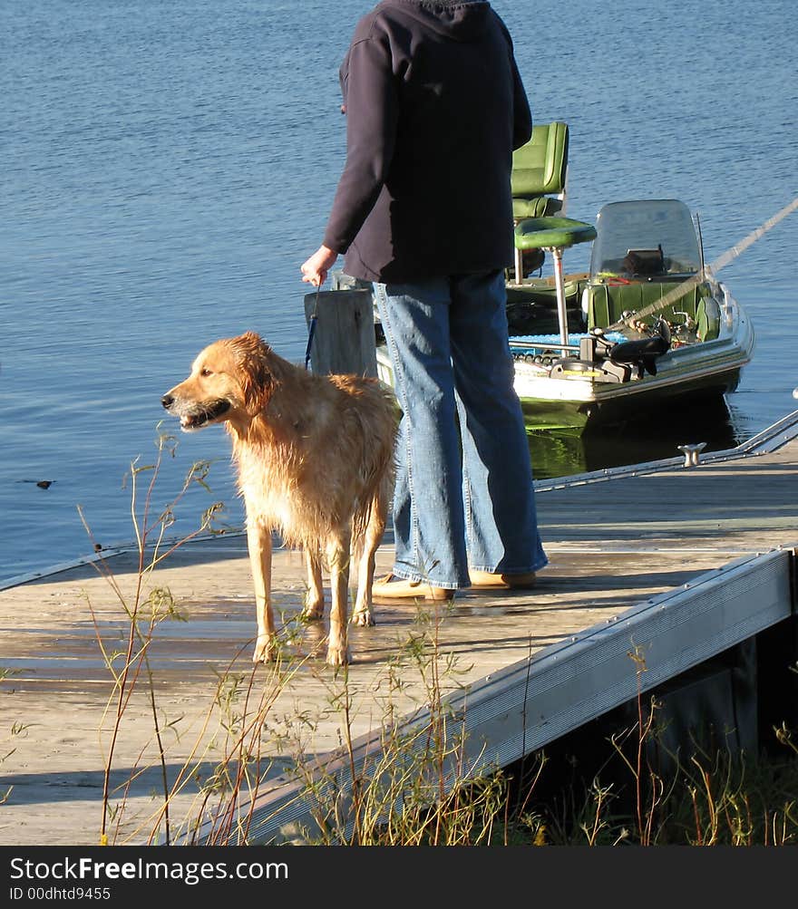 Wet dog standing on pier with owner drying off