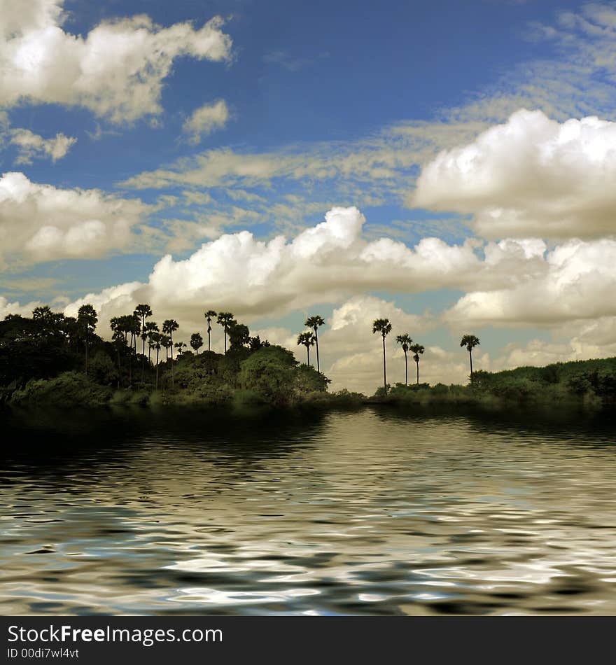 Palm silhouettes at a blue cloudy sky. Palm silhouettes at a blue cloudy sky