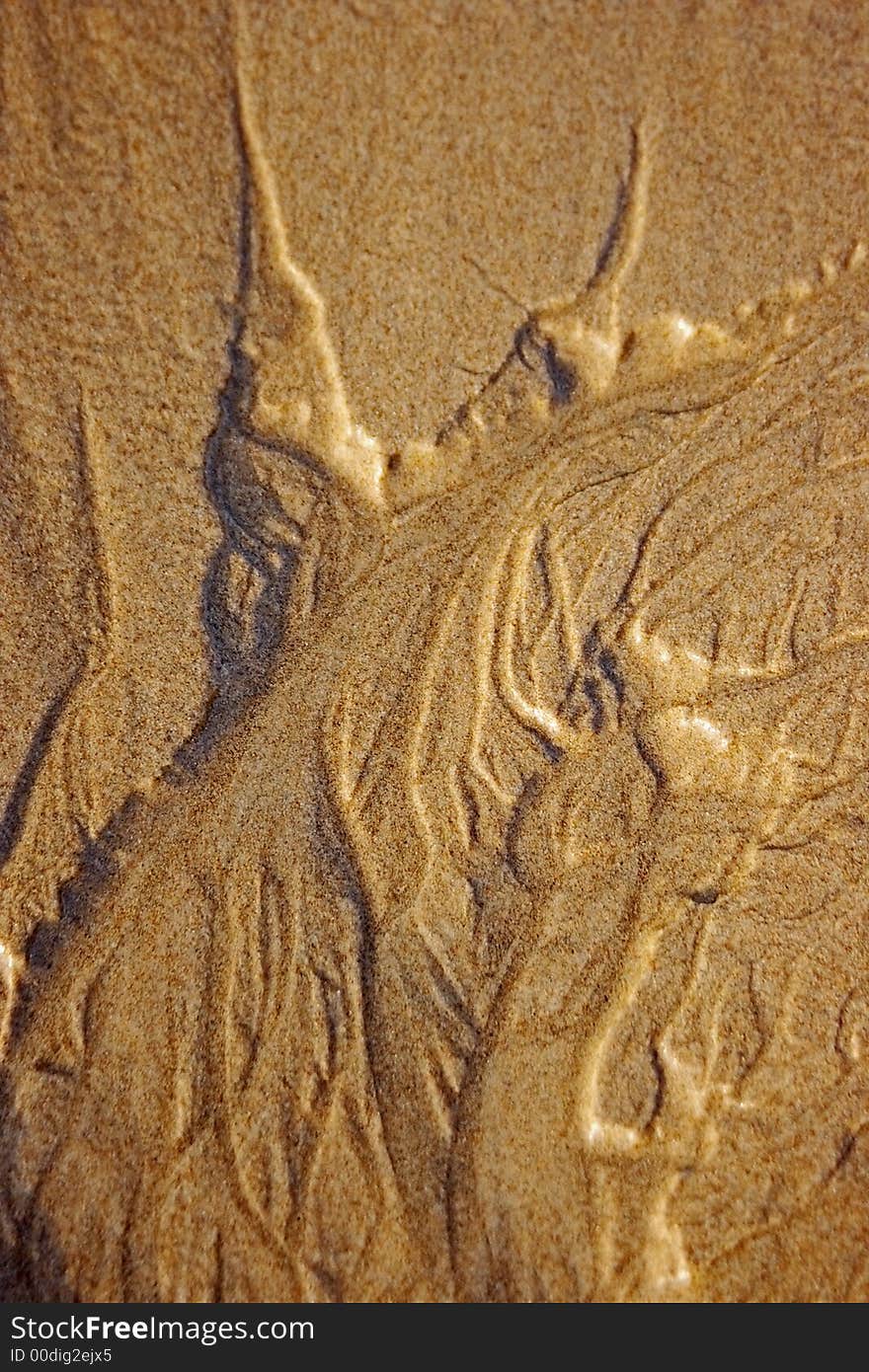 Sandpatterns at the beach