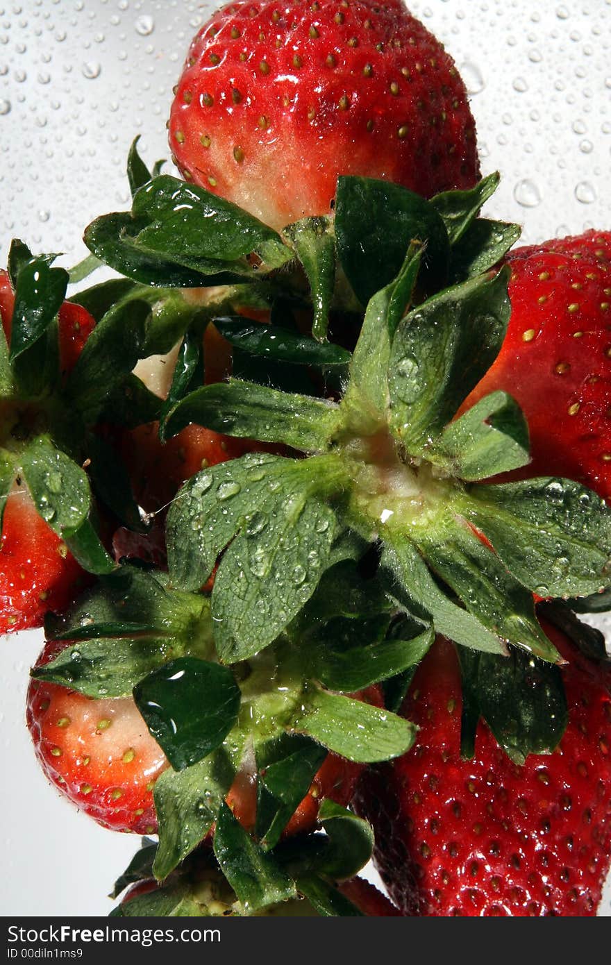 Close-up on the top of strawberries with water drops. Close-up on the top of strawberries with water drops