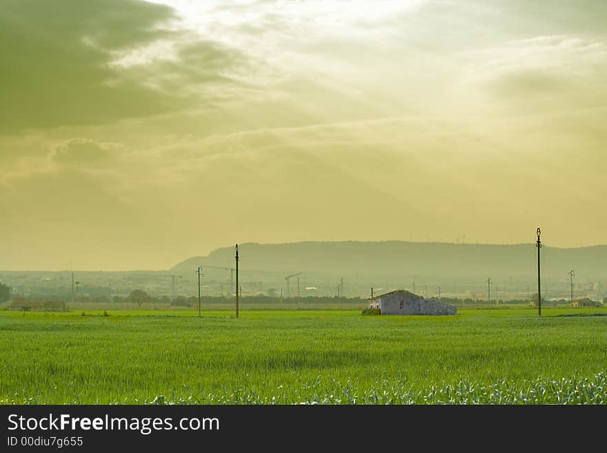 Remembering the old agricolture is a suggestive image of the contrast between old agricolture and modern times. It is a Sicilian landscape.