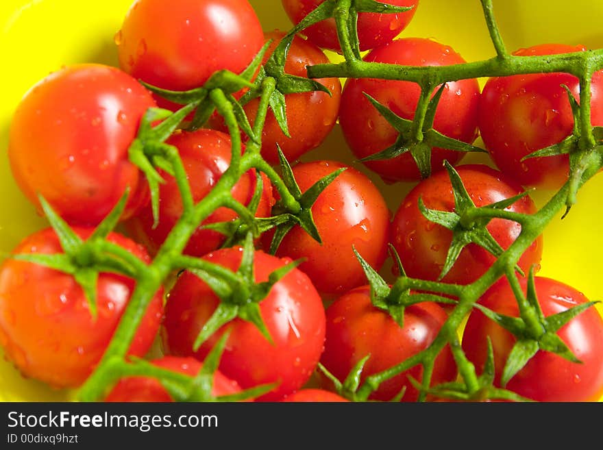 Close up of freshly washed tomatoes