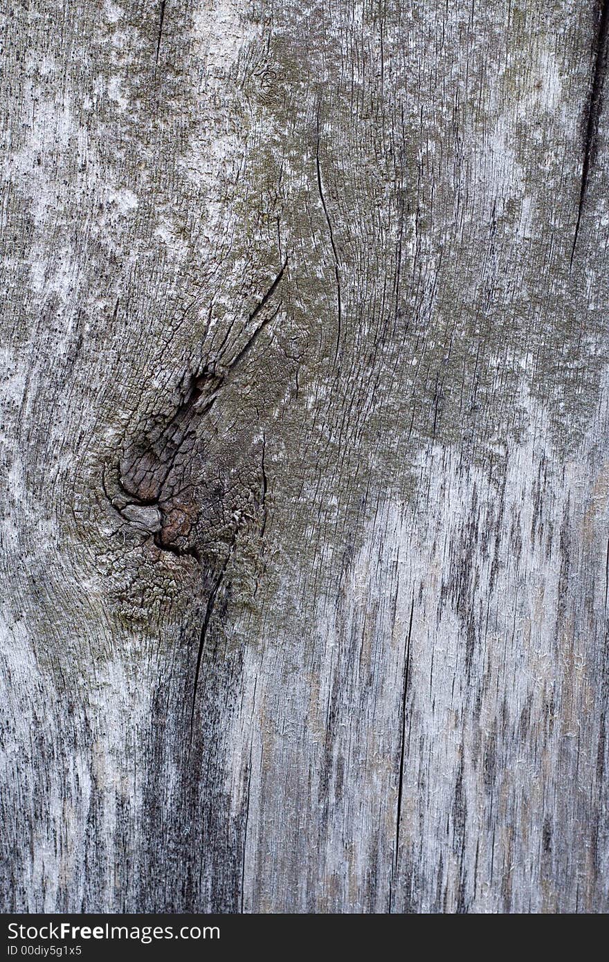 Very Old Wooded Planks