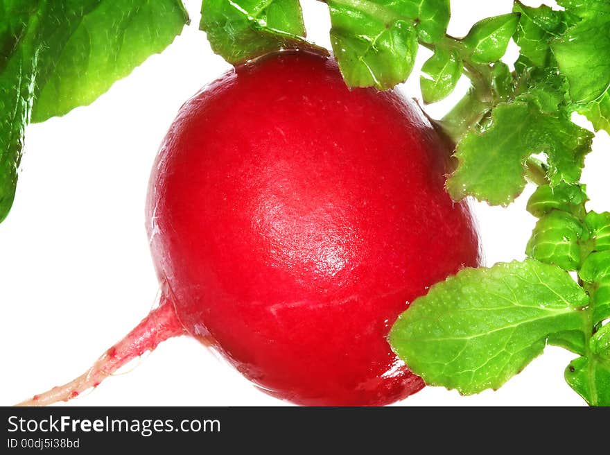 Red radish.  Isolated over white background