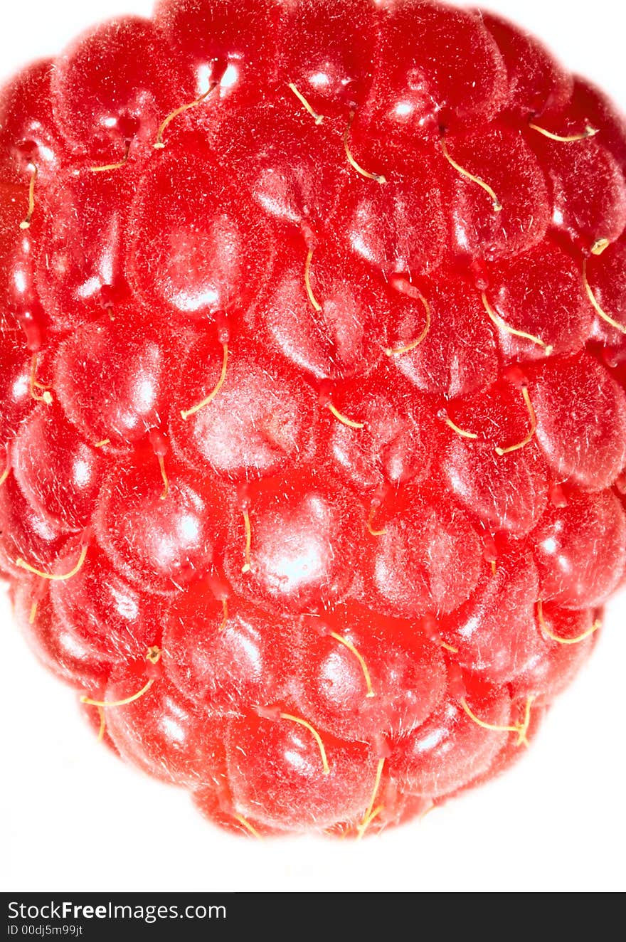 Close up of a raspberry. Isolated over white background