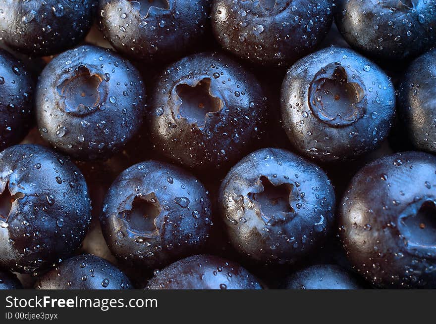 Blueberries covered in water drops. Blueberries covered in water drops