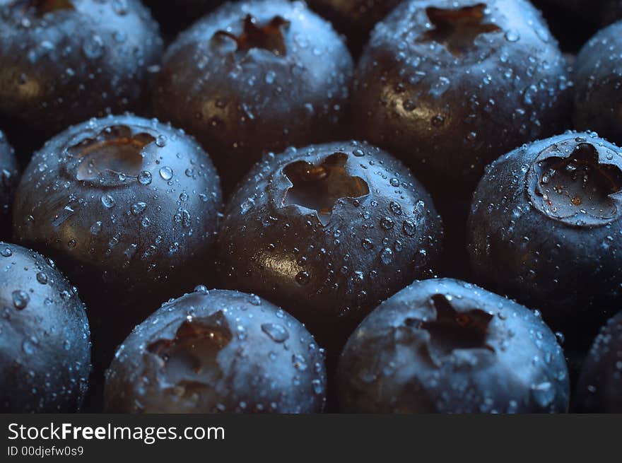 Blueberries covered in water drops. Blueberries covered in water drops