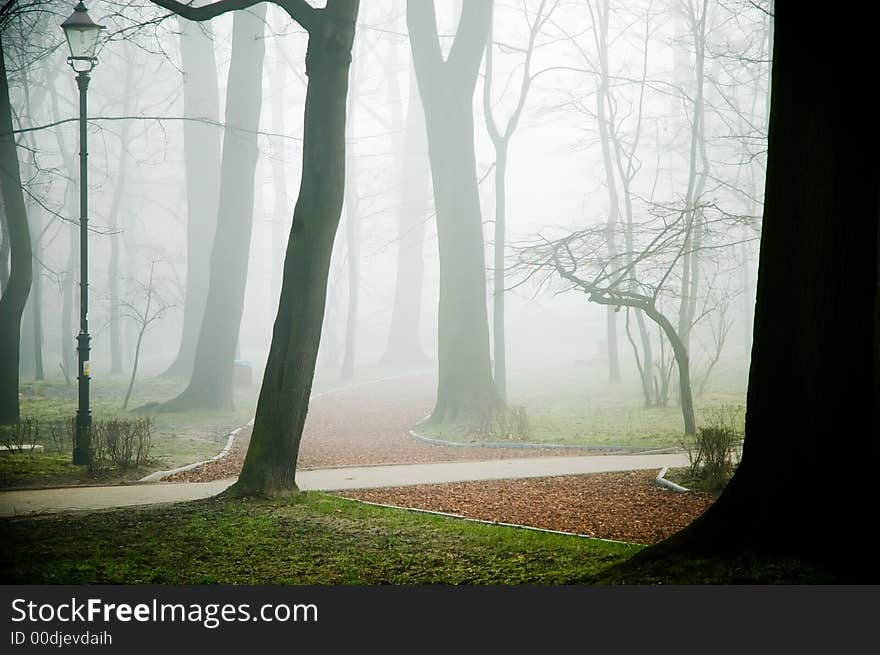 Foggy park with some trees and alley. Foggy park with some trees and alley