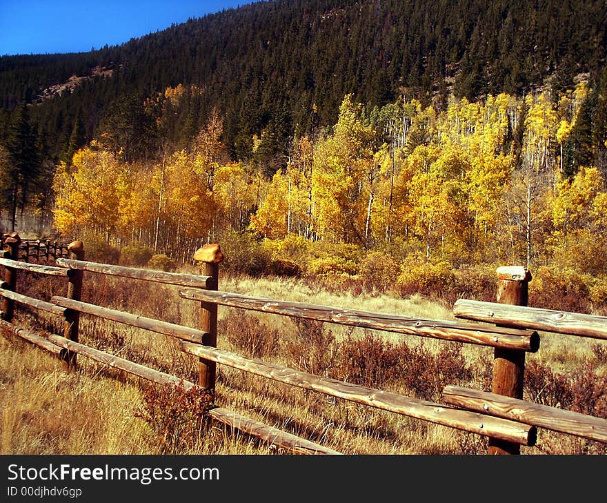 Rural country autumn scenic