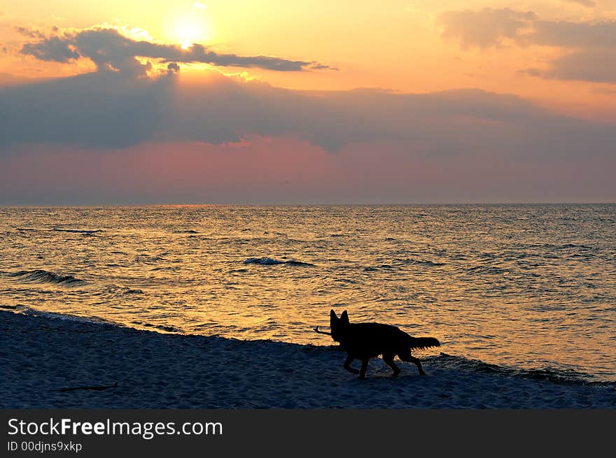 Sunset on Baltic Sea in Poland whit dog