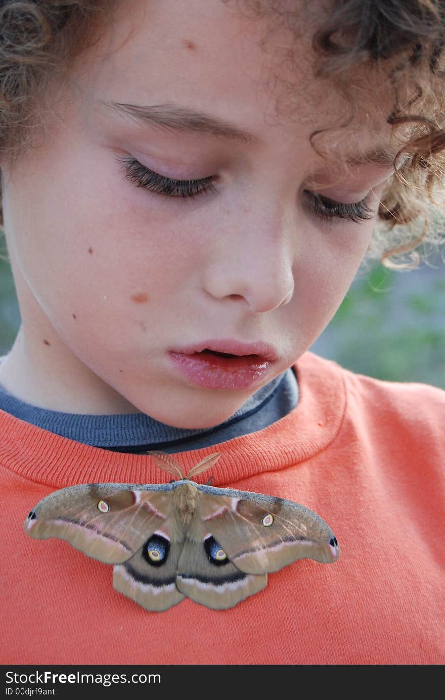 Boy looking at moth