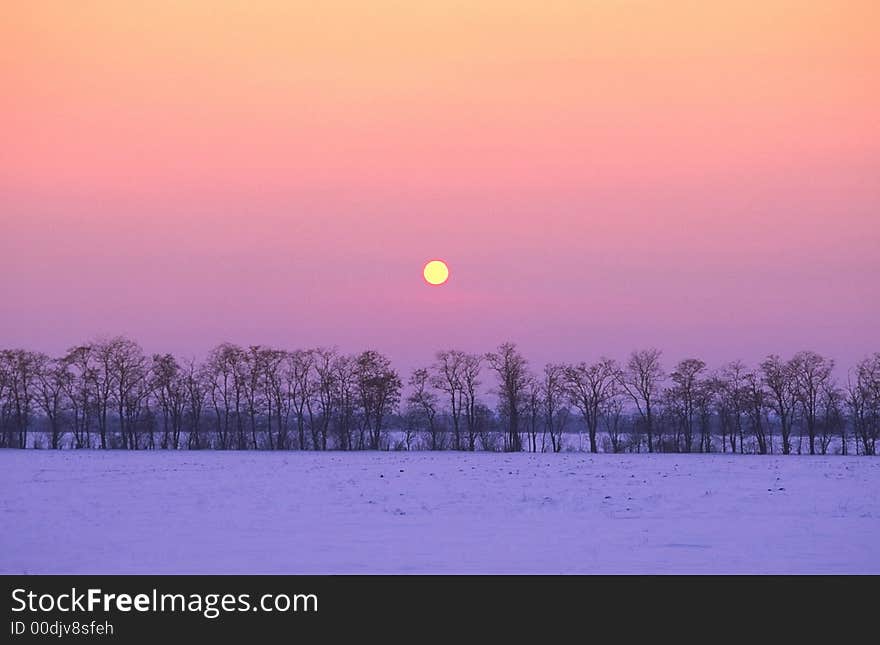 Sunset in  winter evening in  steppe zone