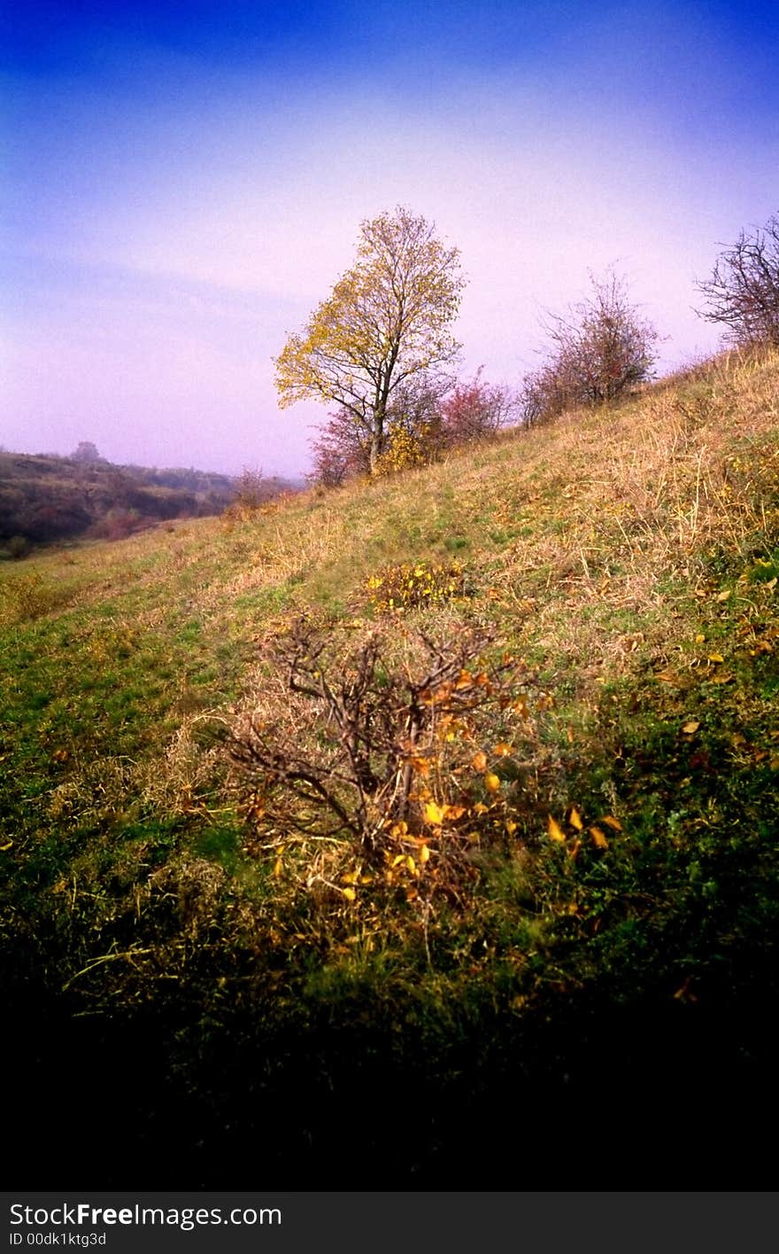 Autumn in steppe