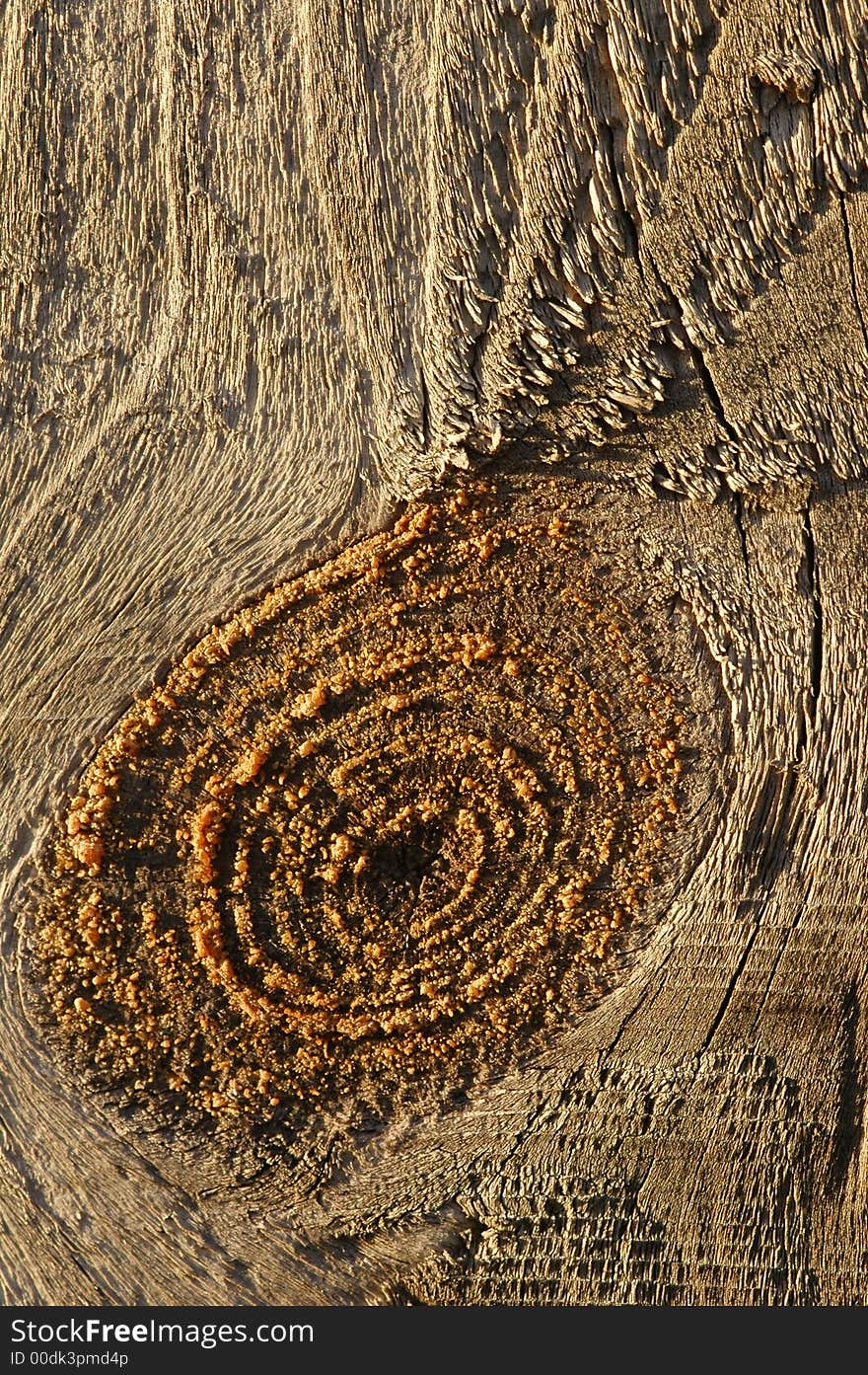 macro of wood fencing panel knot.