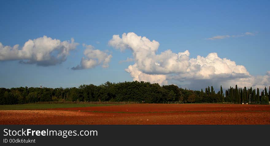 Landscape In Monteriggioni