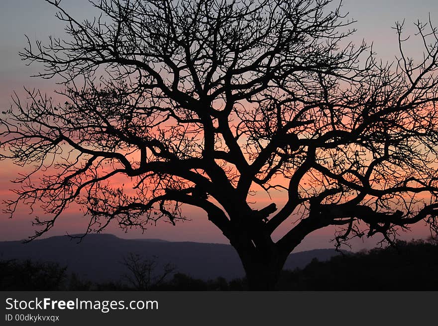 Waterberg Sunset