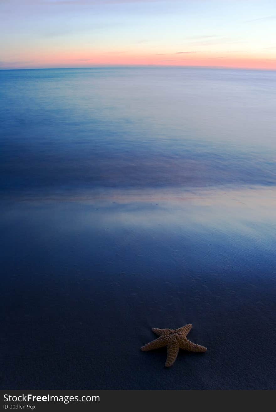 Seashell on the beach