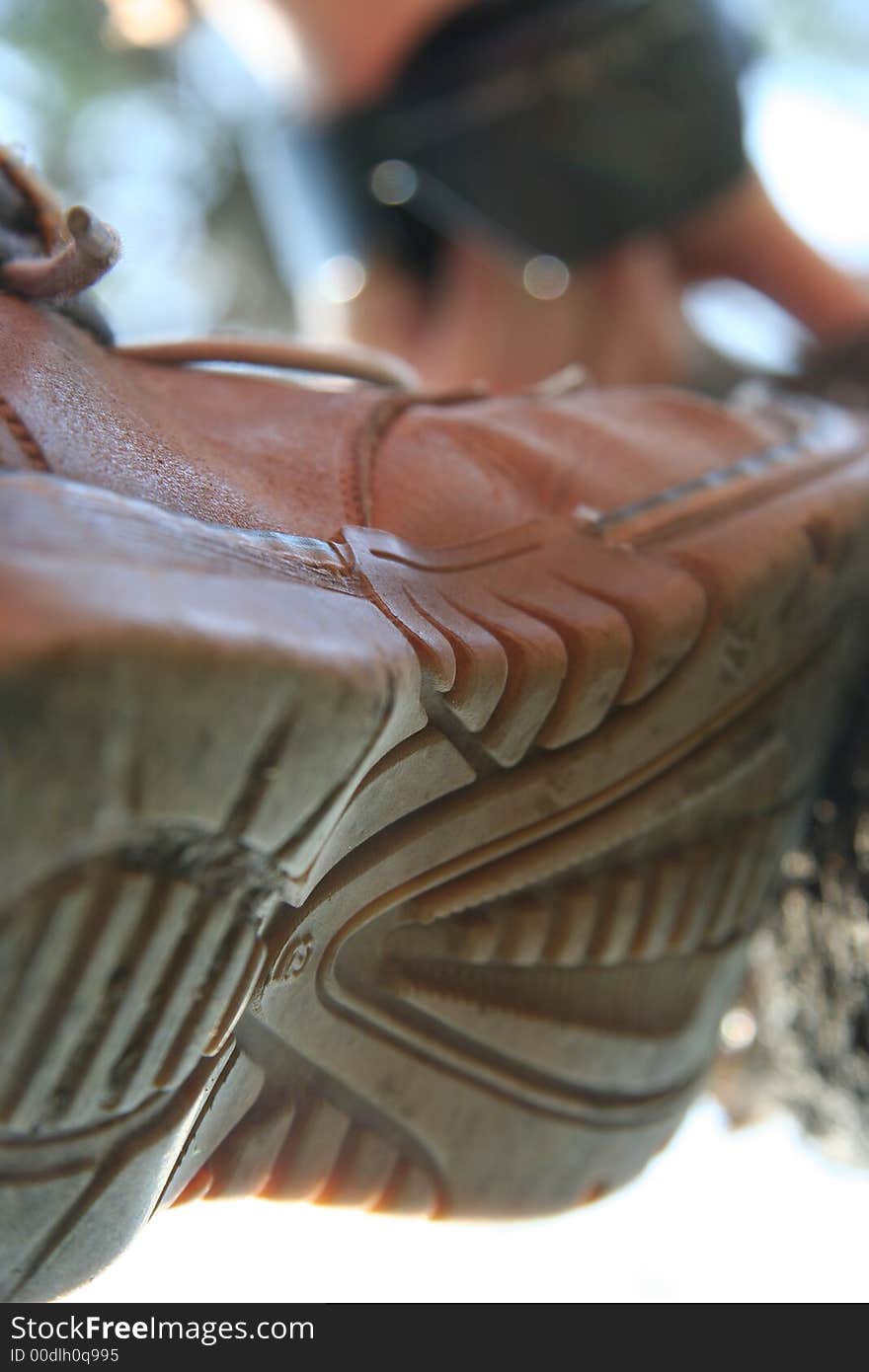 Detail of brown boot climbing on a tree. Detail of brown boot climbing on a tree