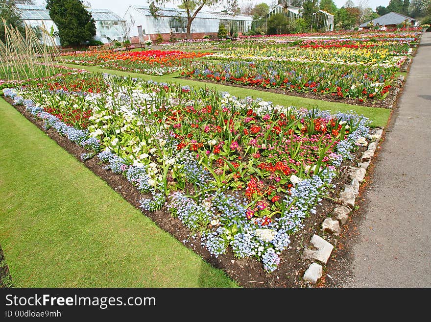 Botanical Garden In Bloom