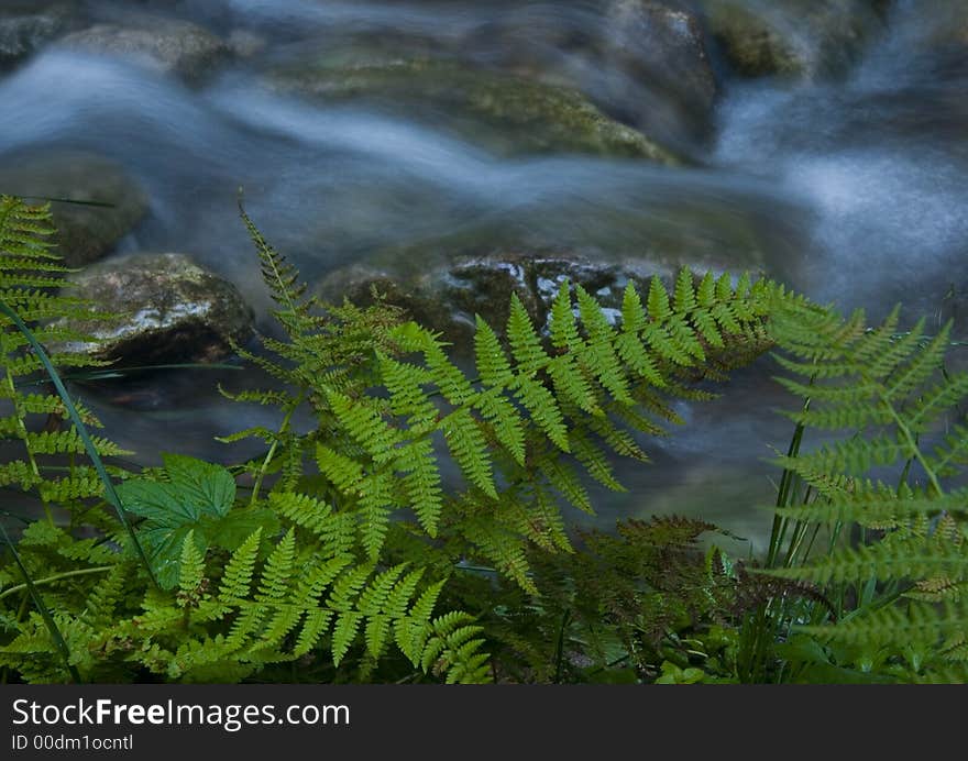 A stream or creek, is a body of water with a detectable current, confined within a bed and banks. A stream or creek, is a body of water with a detectable current, confined within a bed and banks.