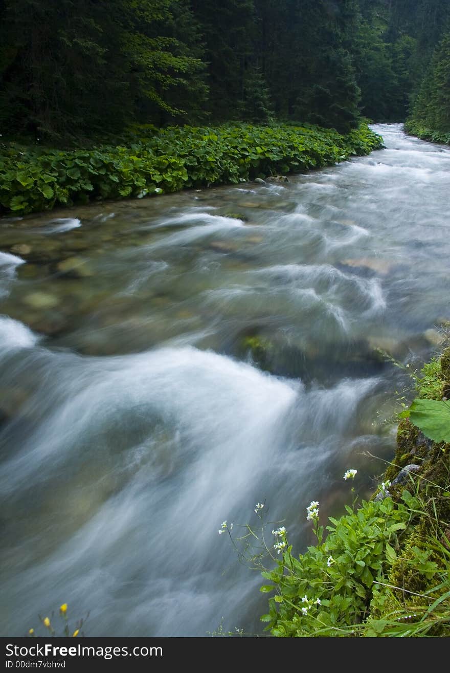 A stream or creek, is a body of water with a detectable current, confined within a bed and banks. A stream or creek, is a body of water with a detectable current, confined within a bed and banks.