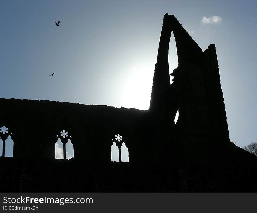 Tintern Glow