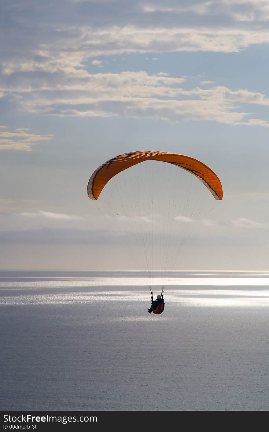 Soaring over the ocean